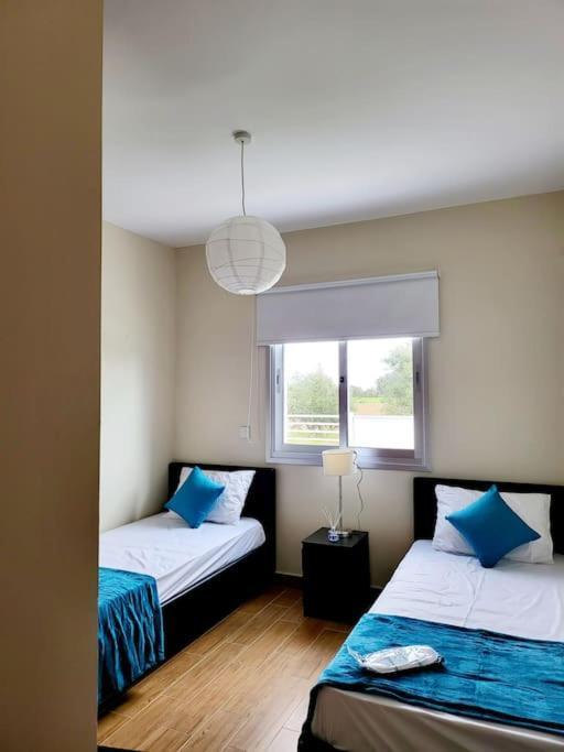 Paphos Villa Utopia מראה חיצוני תמונה