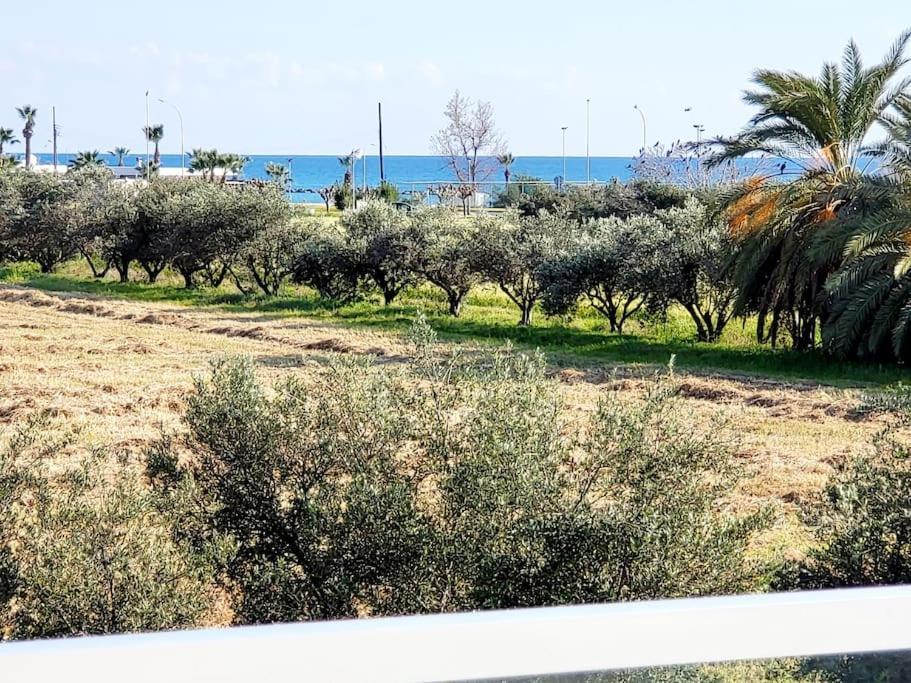 Paphos Villa Utopia מראה חיצוני תמונה